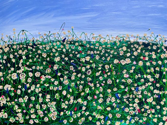 Field of Joy 80 x 60